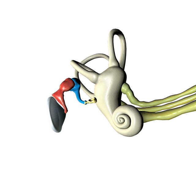 보청기 국가보조금지원, 나도 받을 수 있을까? 쉽게 하실 수 있어요!