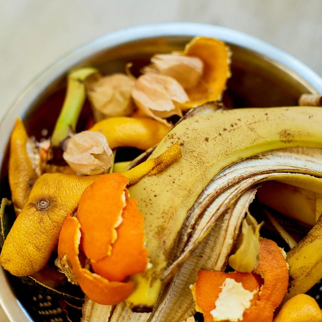 바구니에 담긴 귤껍질 사진과 음식물 쓰레기 분류 기준 설명