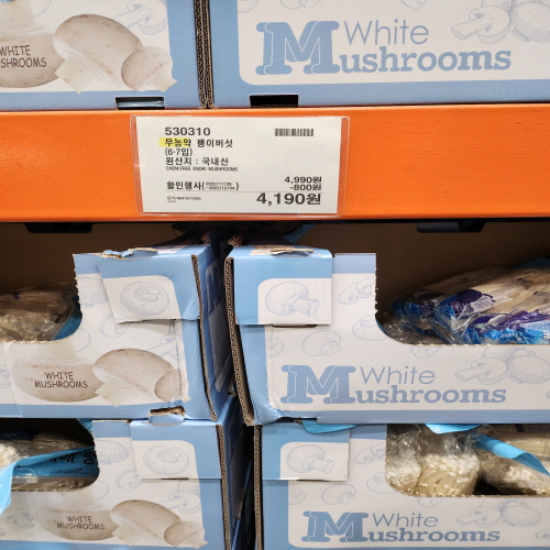 코스트코할인정보