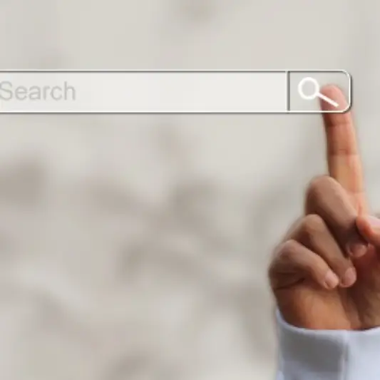 세금 납부 조회