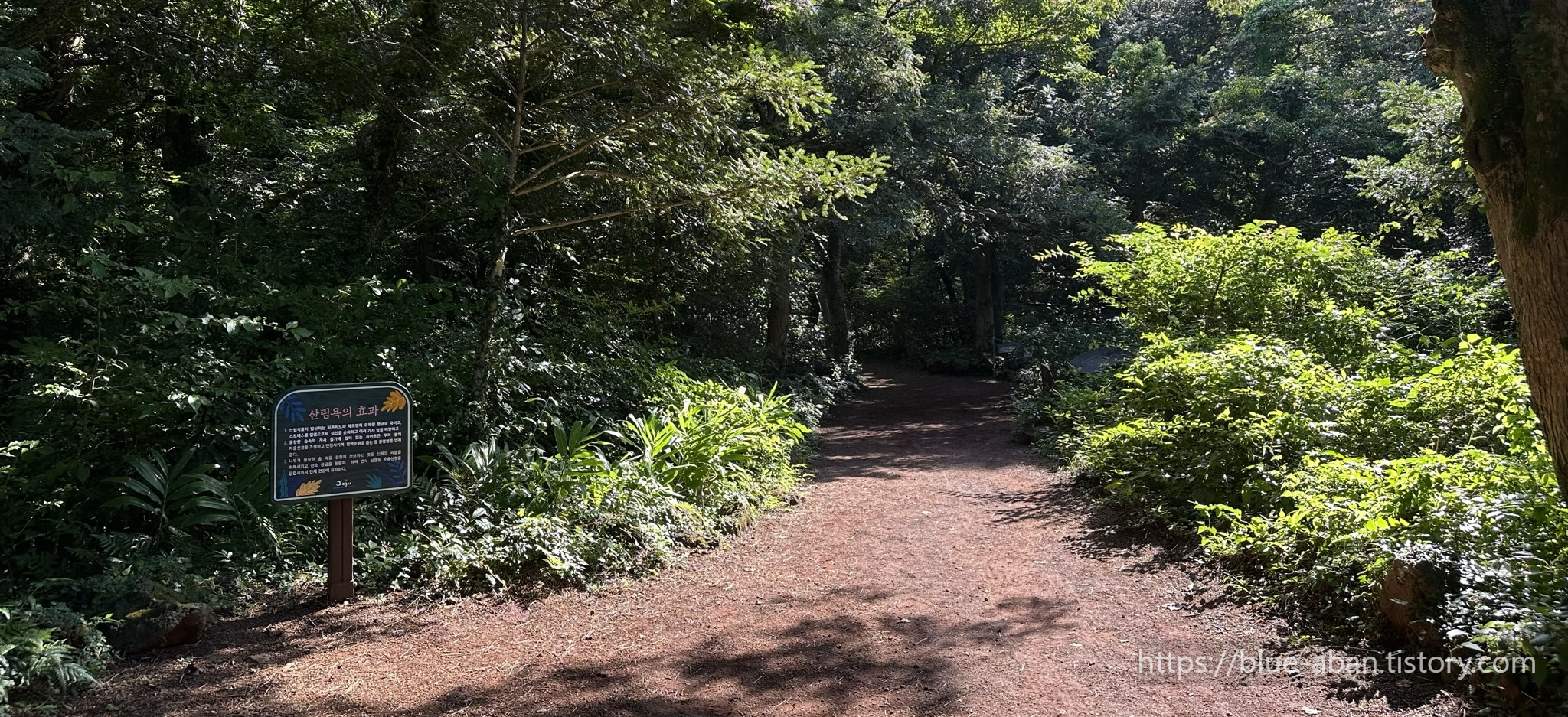 비자림 숲 입구