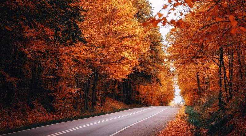 자주 묻는 질문(FAQ)