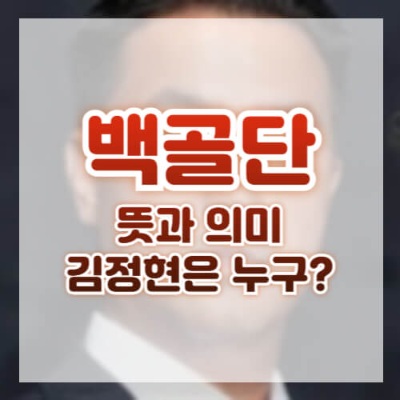 백골단, 강경대 열사, 김정현, 윤석열 대통령, 체포영장, 반공청년단, 민주화 운동, 시위 진압, 국민의힘, 정치 논란, 역사적 상처