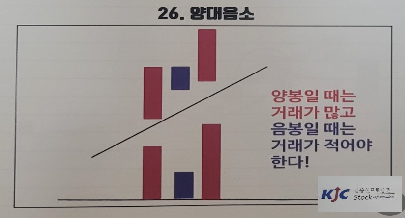 26. 양대음소 개념 이해에 대한 도식화