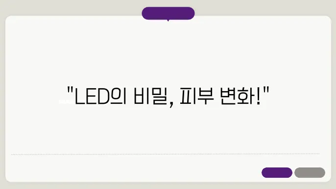 LED 마스크 활용 비교