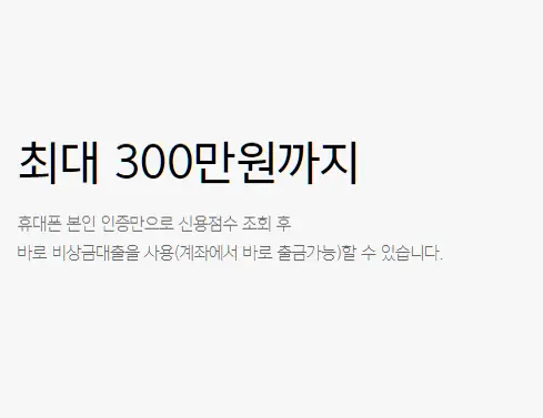 최대 300만원까지