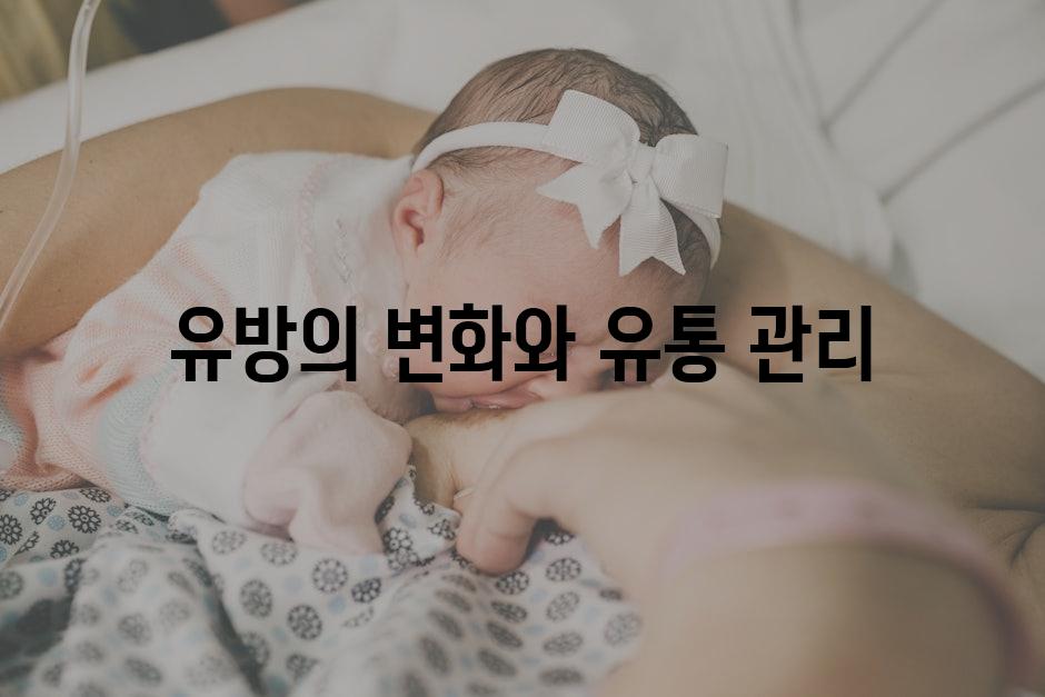 유방의 변화와 유통 관리