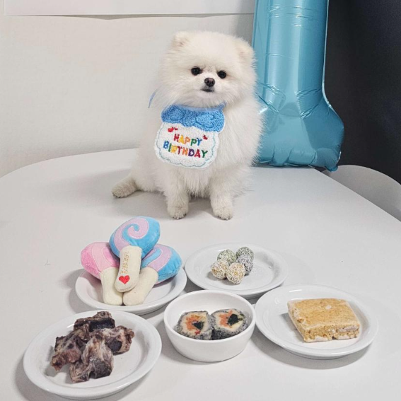 강아지-생일상