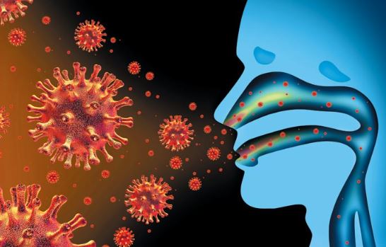 프로폴리스-효능