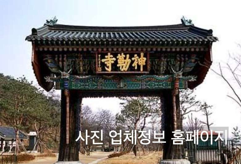 여주여행 천서리막국수 남한강출렁다리 신륵사 황포돛배 강천섬 코스