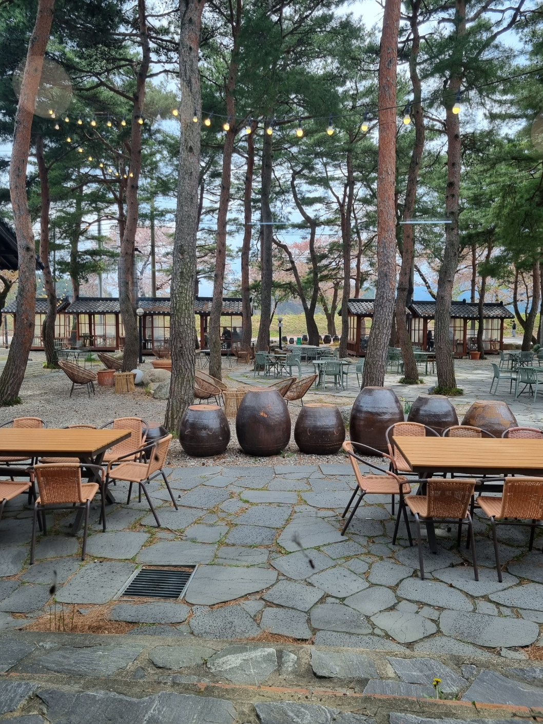 설악산로 카페 외부 전경