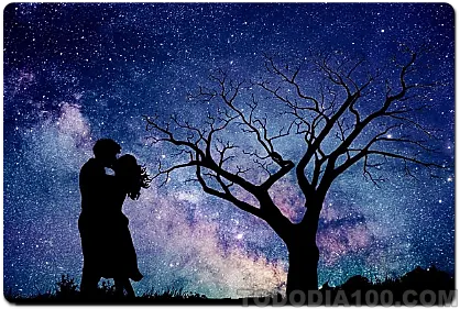 7월의 별자리 운세 보기