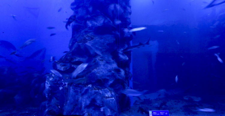 단양 아쿠아리움