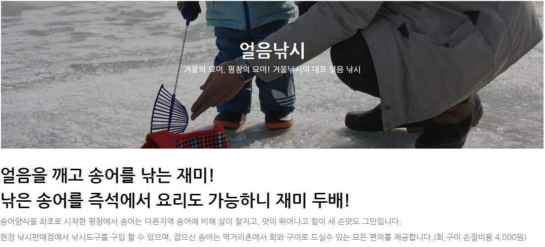 평창 송어축제