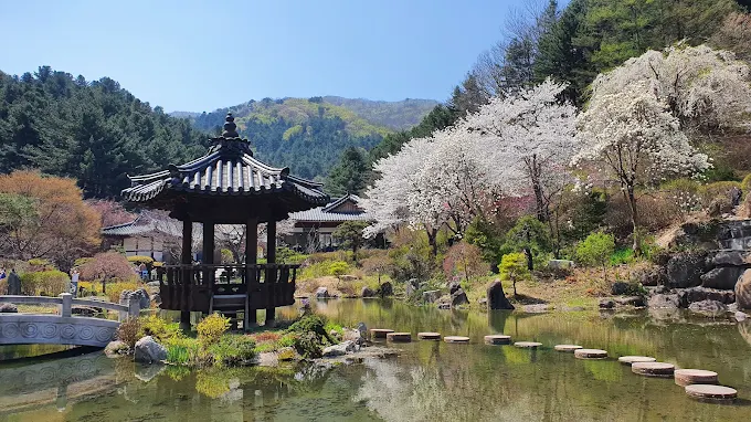 아침고요수목원 입장료