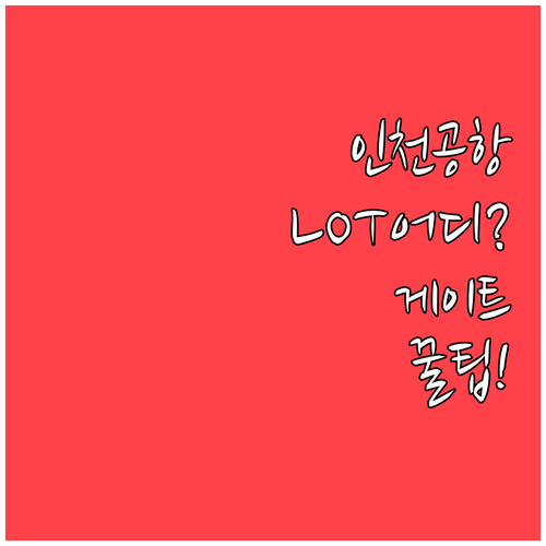 인천공항 LOT폴란드항공 터미널과 게..