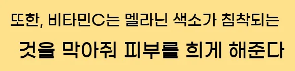  또한, 비타민C는 멜라닌 색소가 침착되는 것을 막아줘 피부를 희게 해준다