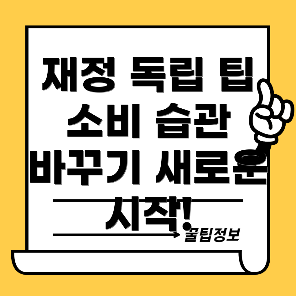 소비 습관 조정