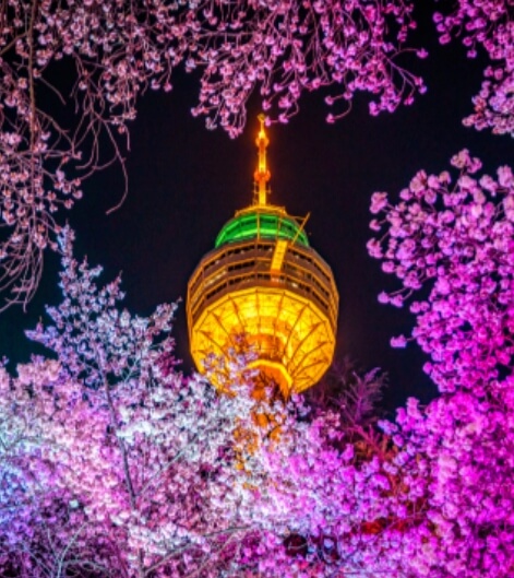 3월 국내 여행지 추천