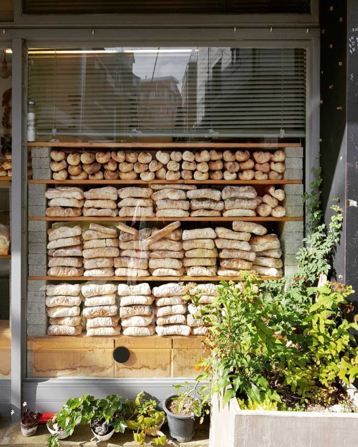 막걸리 맛집 TOP 5 (토리)