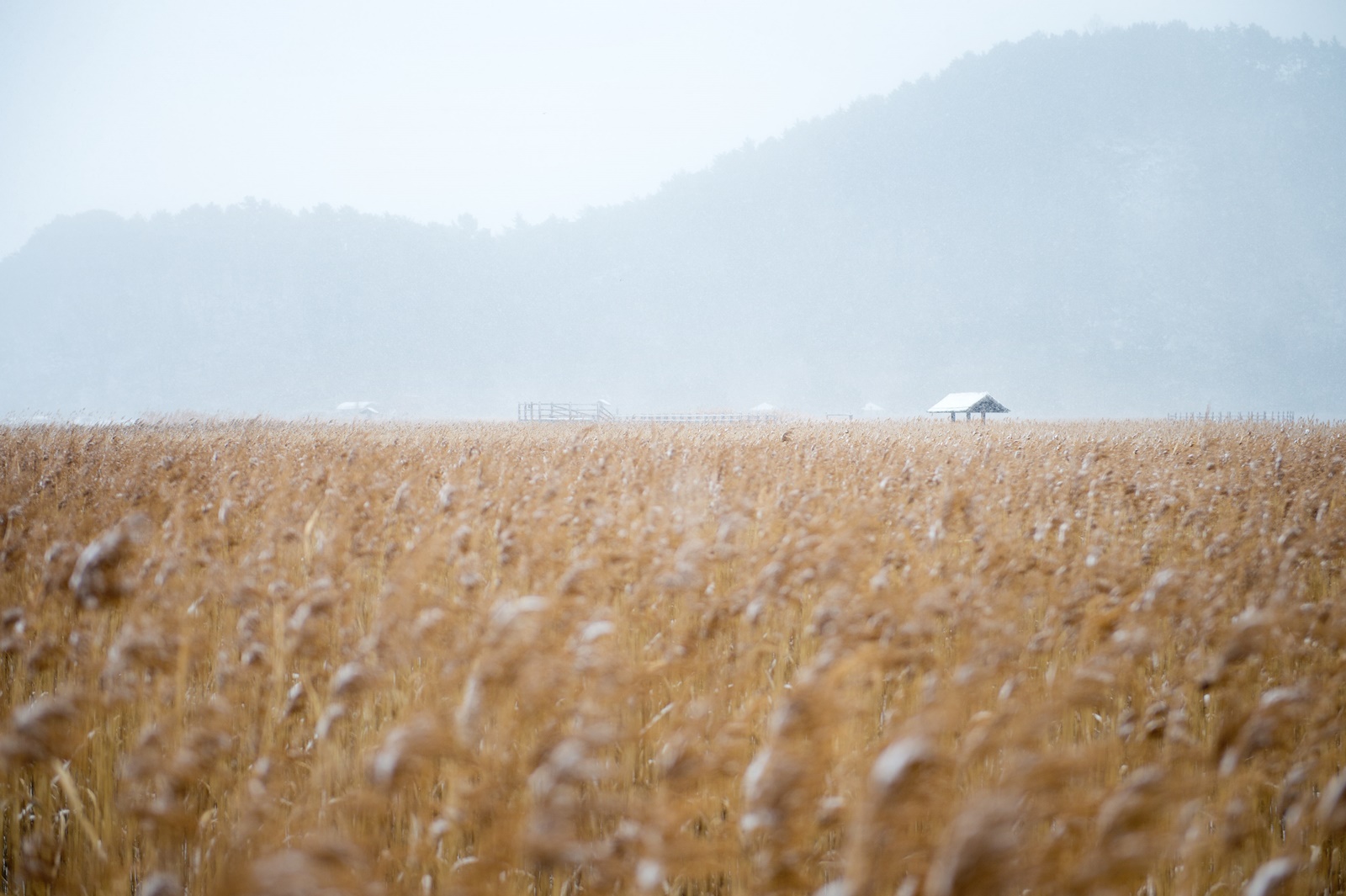 대한민국 구석구석 (가을 여행 할인 혜택)