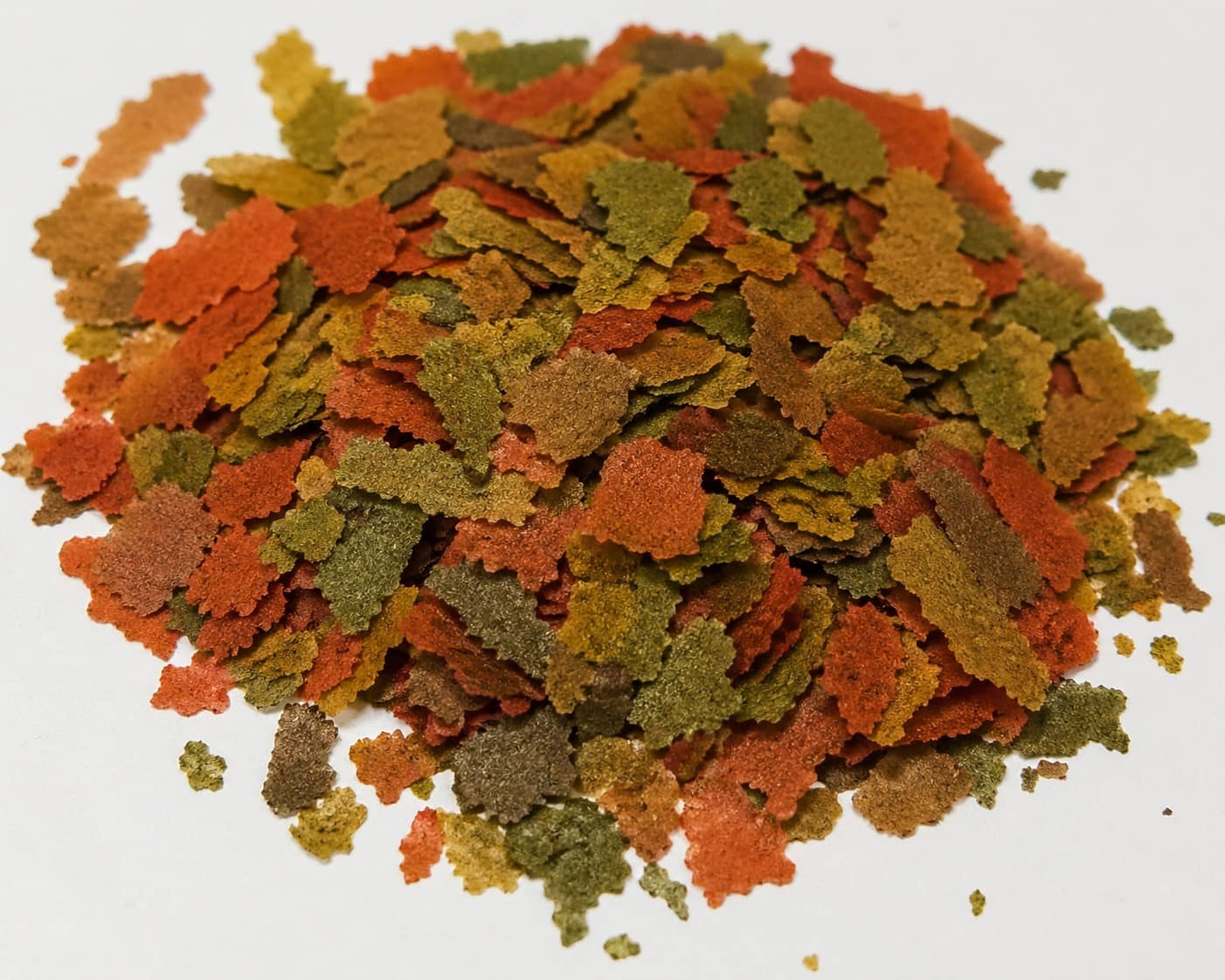 나노 피쉬 먹이 추천: 플레이크, 펠렛, 그라뉼, 라이브푸드 비교로 끝내는 선택 가이드