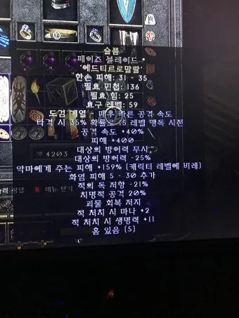 디아2 고뇌올으뜸 패이즈 고뇌 세팅 팁 효율_20