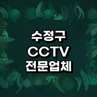 성남 수정구 cctv