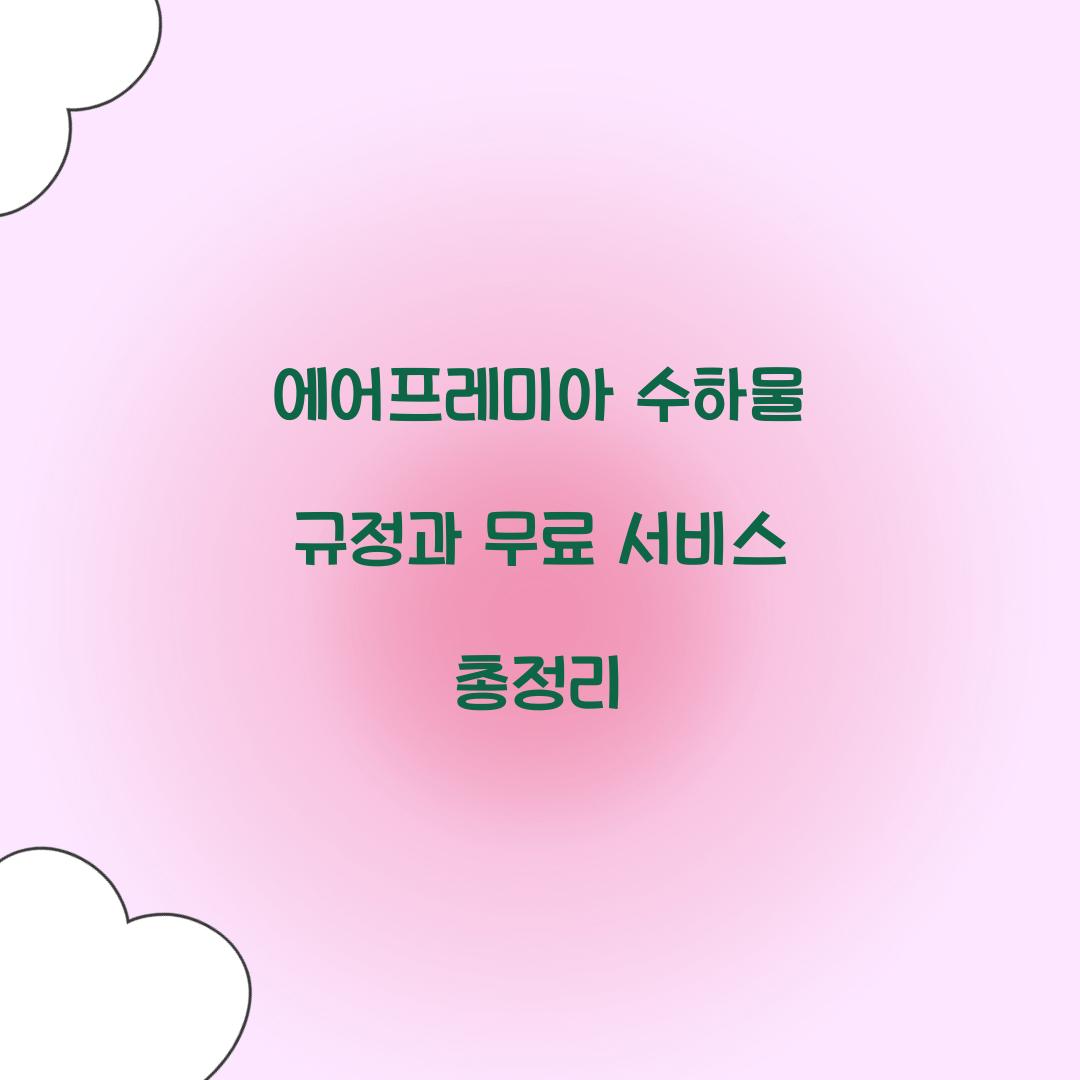 에어프레미아 수하물