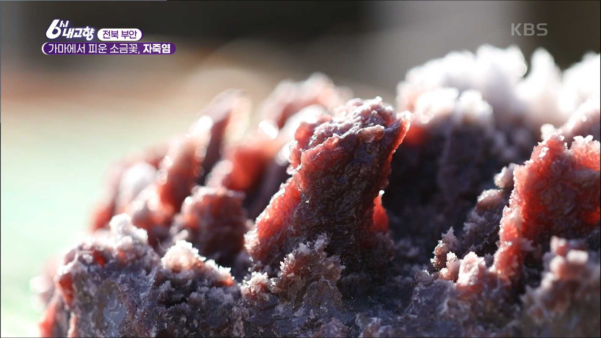 6시내고향 부안 자죽염