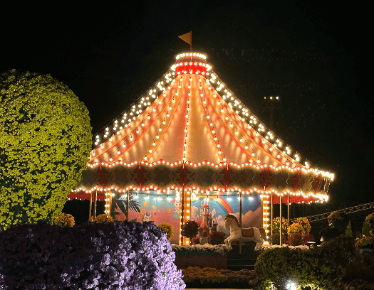 2025 함평 겨울빛축제