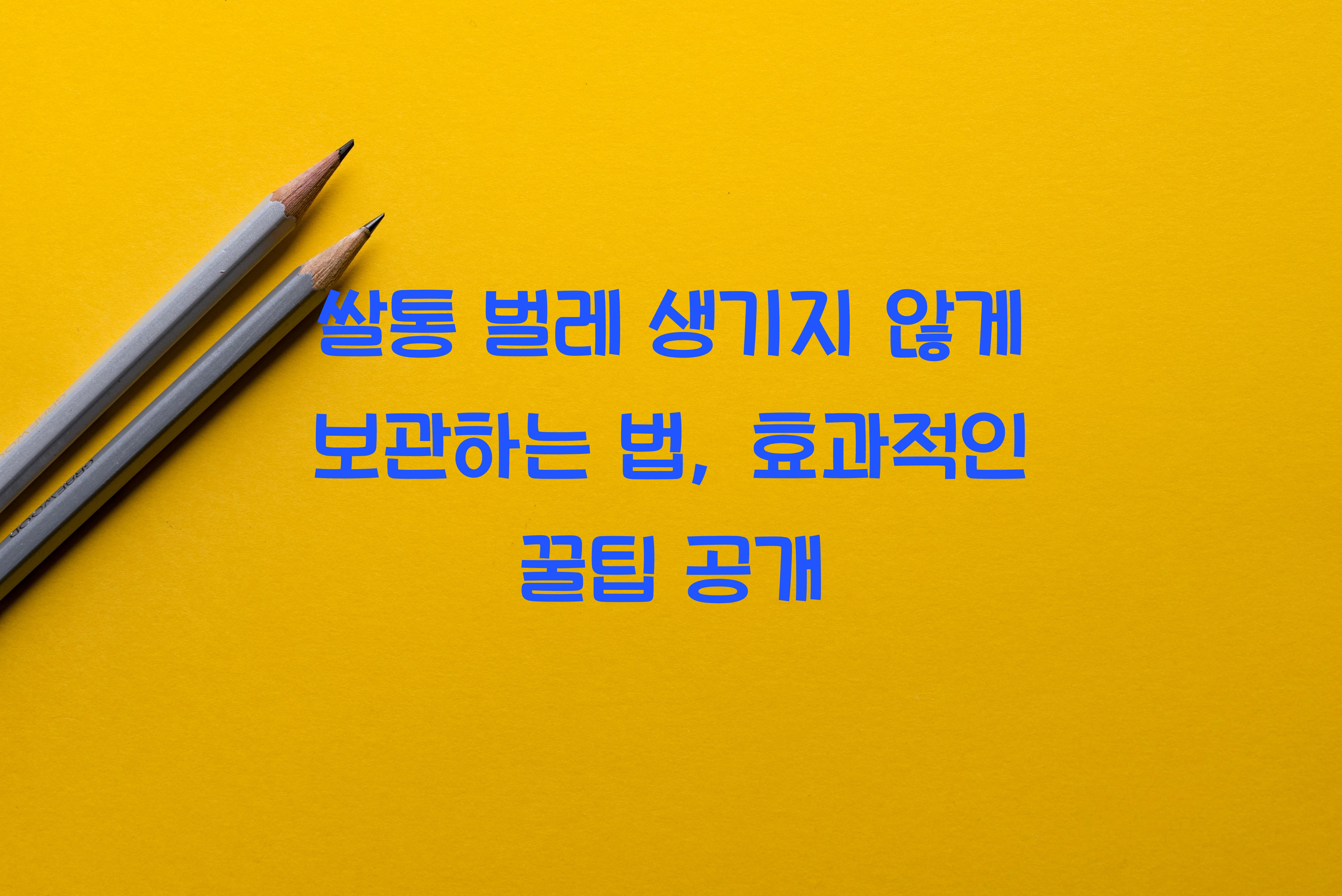 쌀통 벌레 생기지 않게 보관하는 법