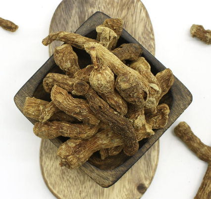 둥글레차 효과 물대신 효능과 부작용 만드는방법 총정리