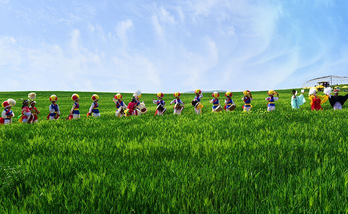 고창 청보리밭 축제