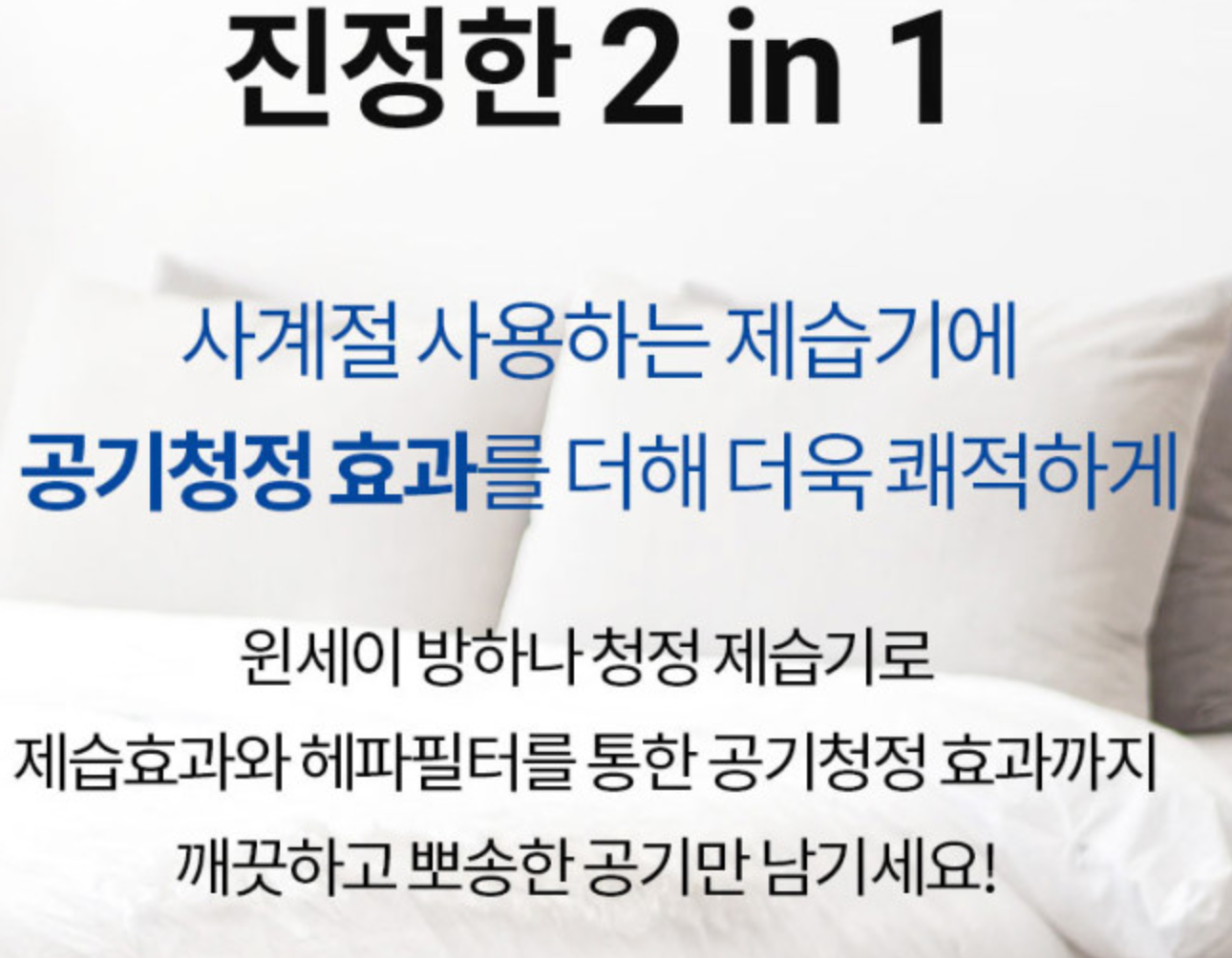 제습기 (10)