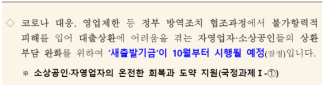 새출발기금 정부발표