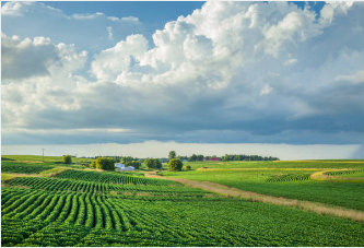 농지이양 은퇴직불제 신청