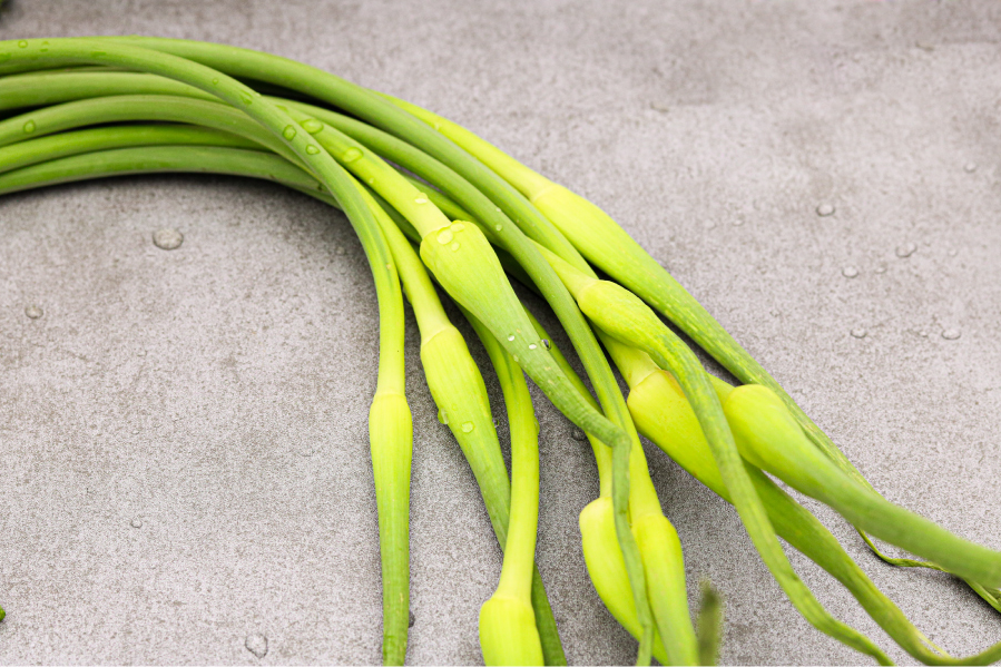 마늘종 효능과 부작용