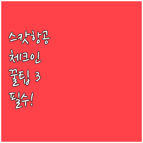 스캇항공 온라인 체크인 할 때 준비할..