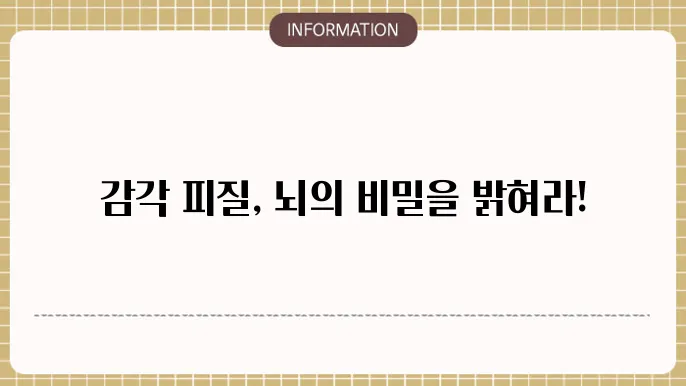 감각 피질 (Sensory Cortex)