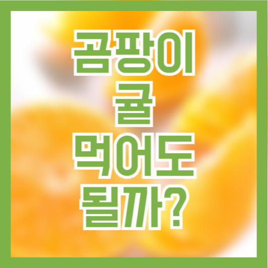 곰팡이 귤, 먹어도 될까? (feat.보관법)