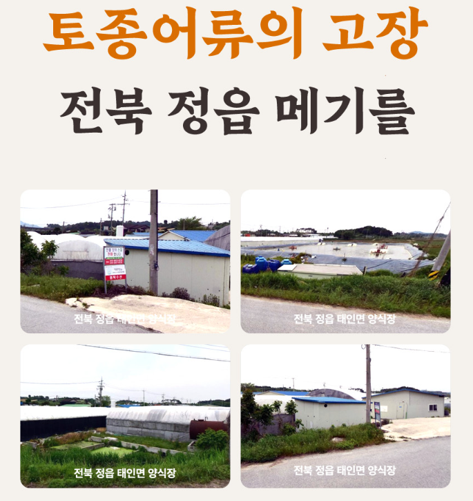 오늘N 남원추어탕 장어탕 메기탕 즉석식품 구매방법