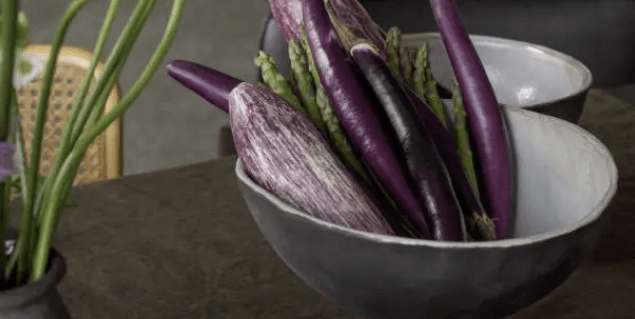 여름 가지요리 추천! 가지구이 덮밥 건강 효능, 제철 채소 가지의 놀라운 효과