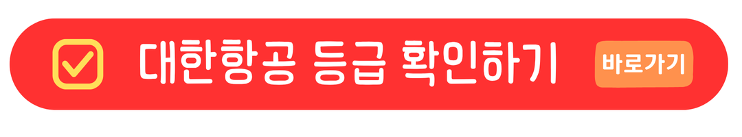 대한항공 모닝캄