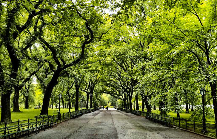 뉴욕 센트럴파크