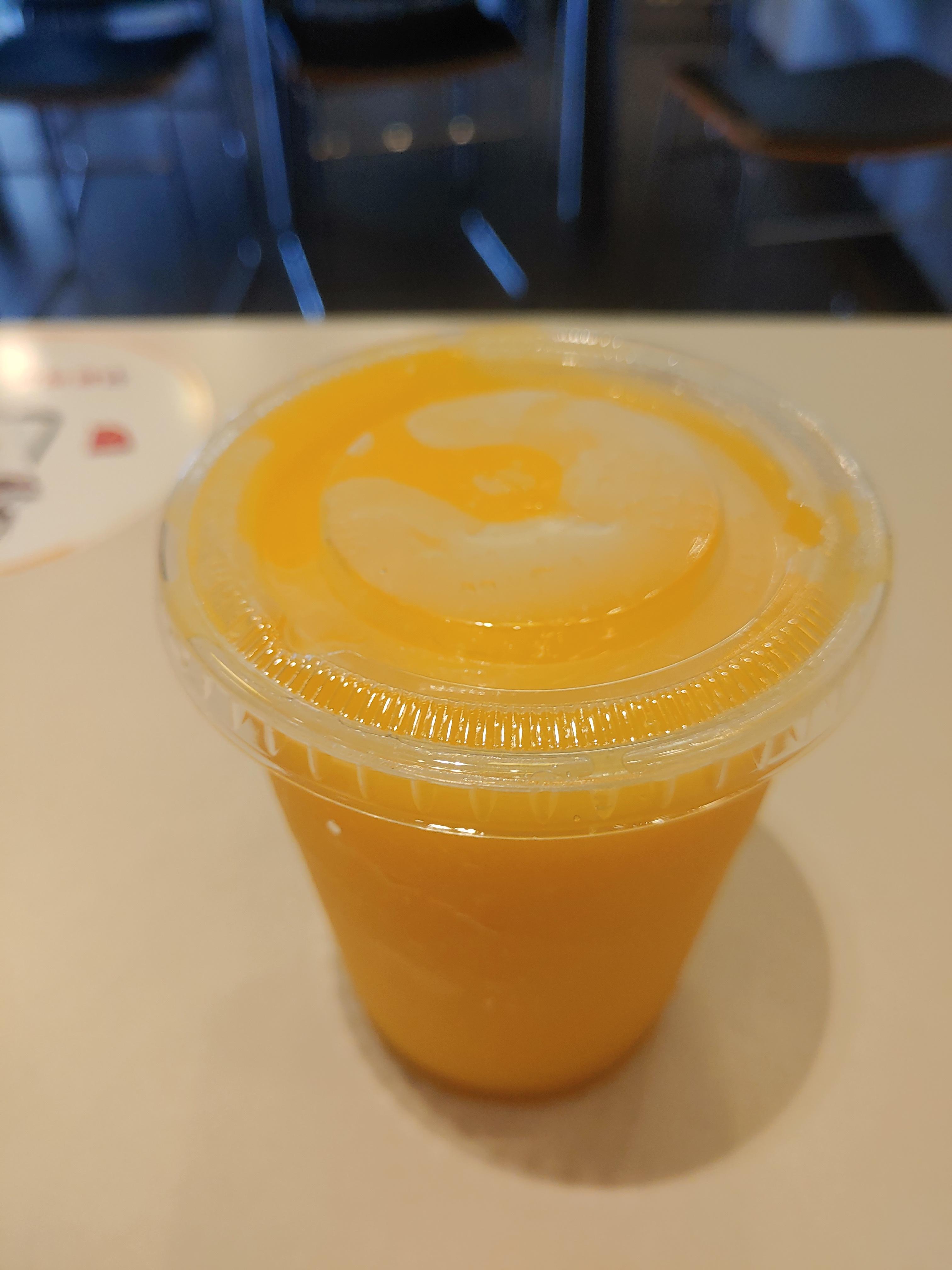 제주 한라봉 칠러