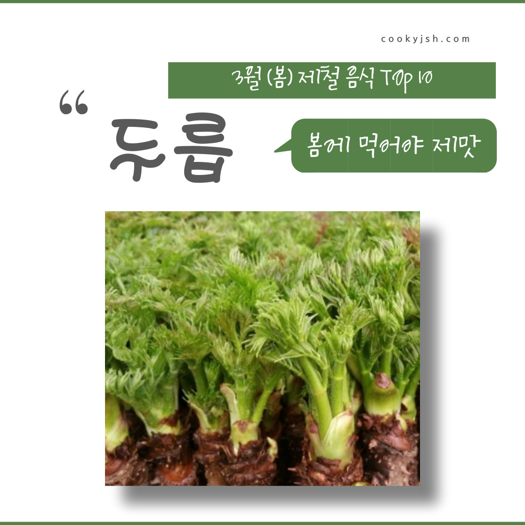 3월에 먹으면 좋은 제철 음식(봄철 음식) - 두릅편 (효능, 두릅이 들어가는 음식)