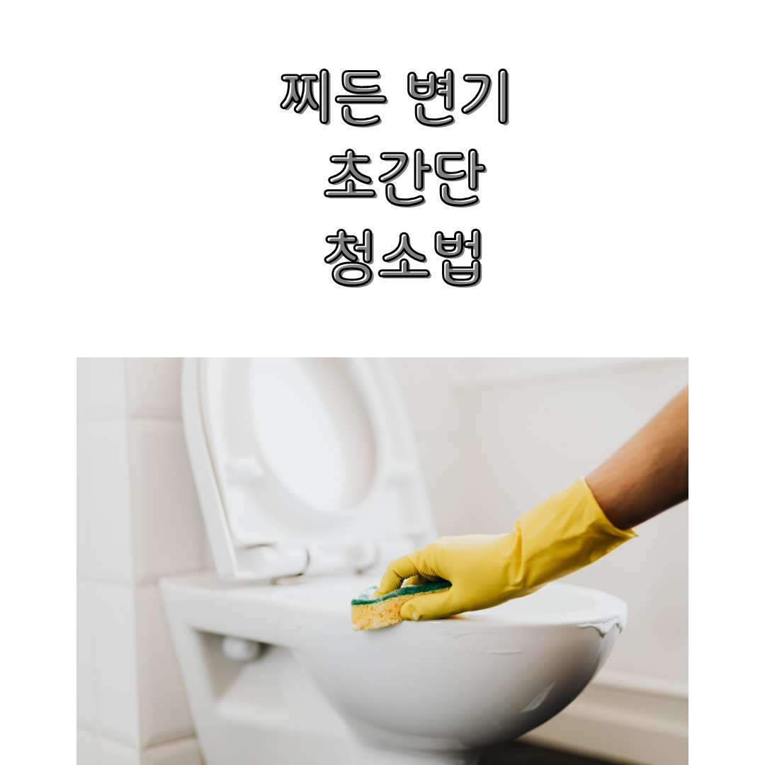 화장실 청소