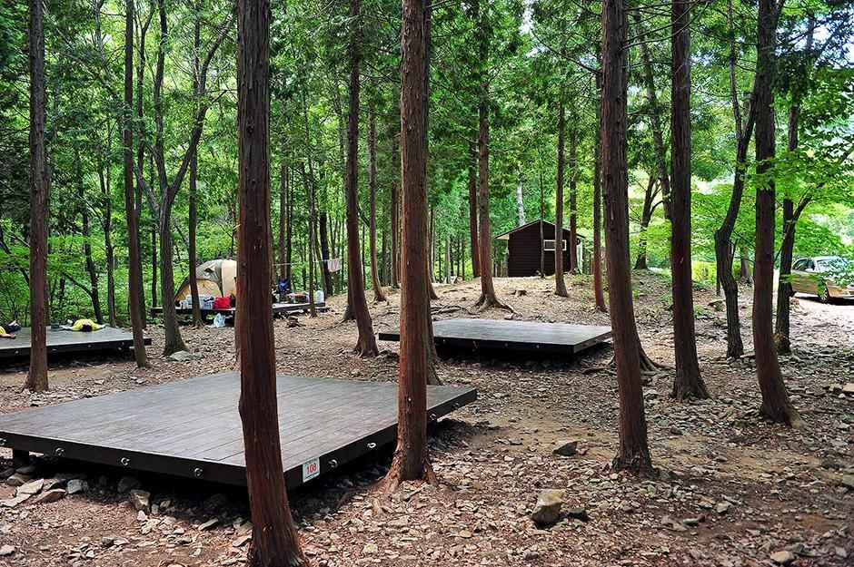 남해 가볼만한곳 베스트10 국립남해편백자연휴양림