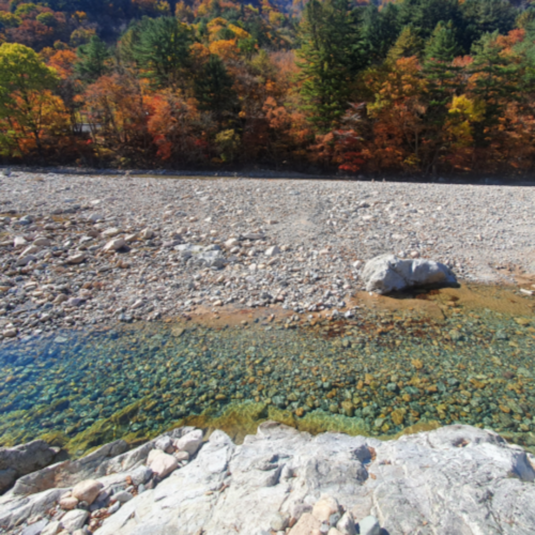 국내 감성 숙소 관련 사진
